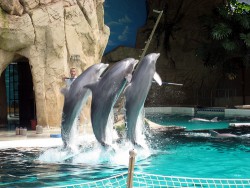 Zoo Duisburg Zoo Duisburg