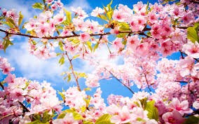 Lente